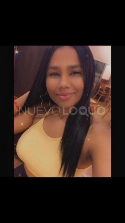 NuevoLoquo3