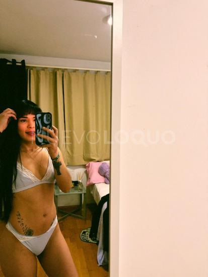 NuevoLoquo1