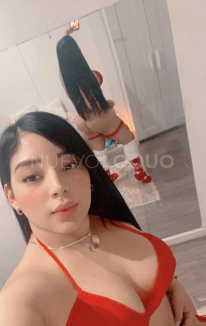 NuevoLoquo1