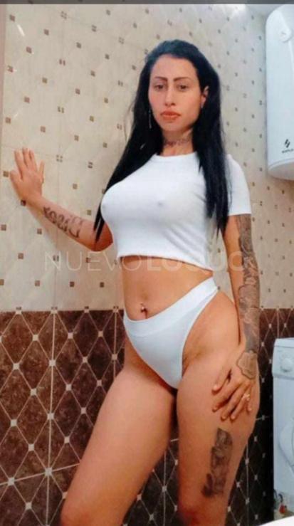 NuevoLoquo3