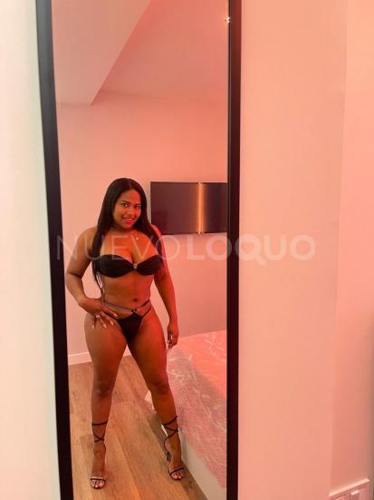 NuevoLoquo5