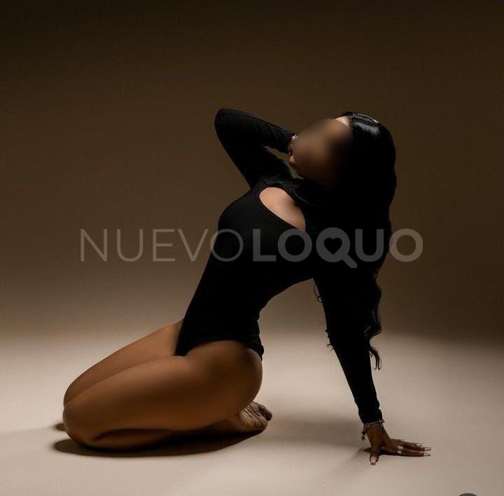 NuevoLoquo3