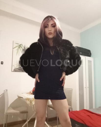 NuevoLoquo3