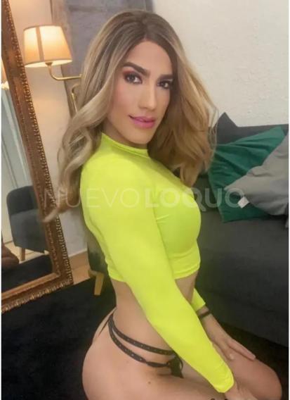 NuevoLoquo1