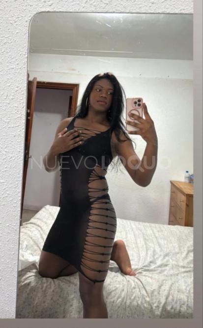 NuevoLoquo5