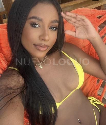 NuevoLoquo3