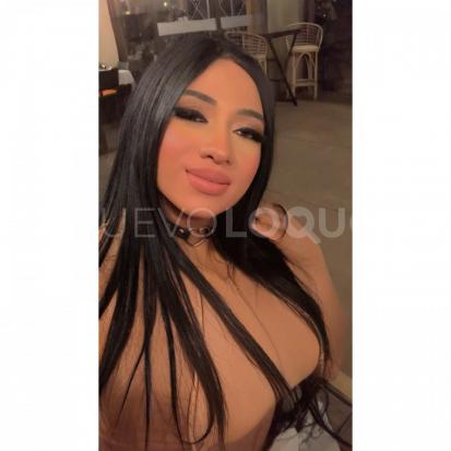 NuevoLoquo5