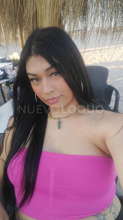 NuevoLoquo2