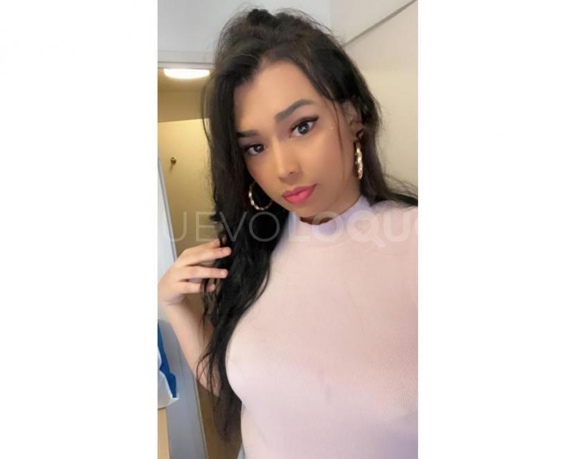 NuevoLoquo3