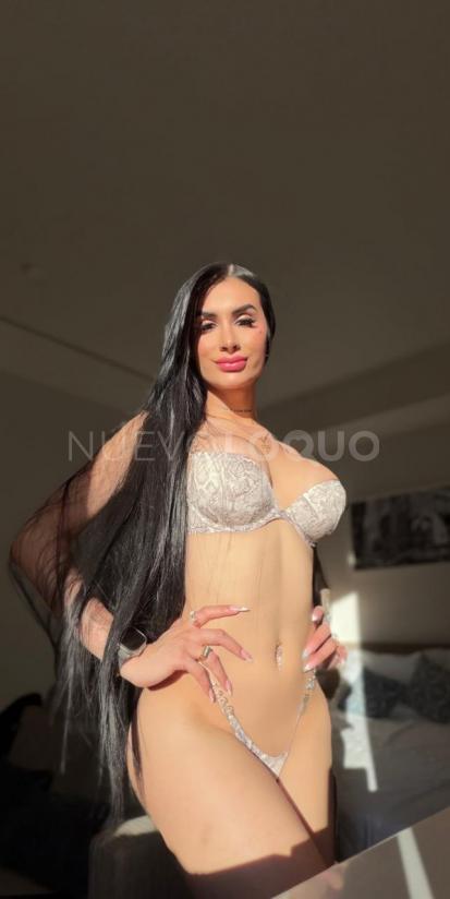 NuevoLoquo1
