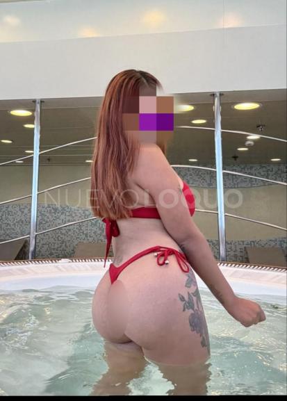 NuevoLoquo3