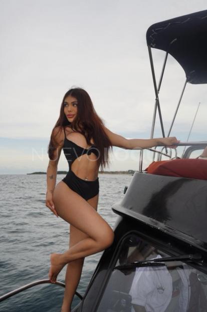 NuevoLoquo3