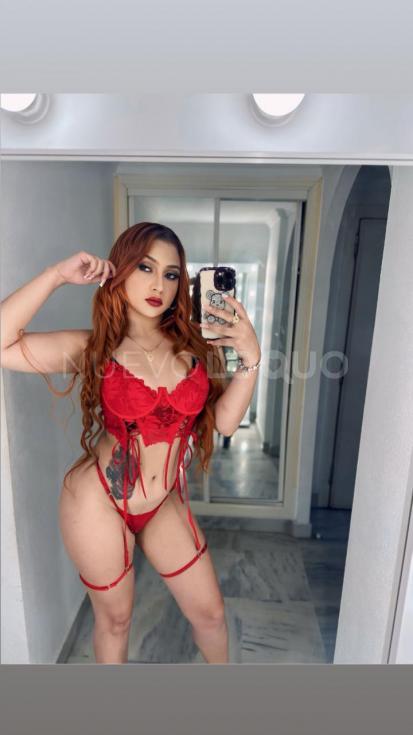 NuevoLoquo2