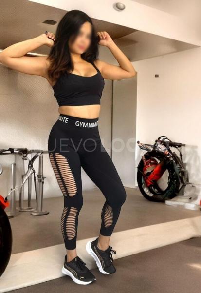 NuevoLoquo2