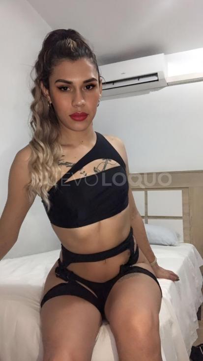 NuevoLoquo1