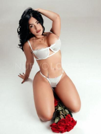 NuevoLoquo1
