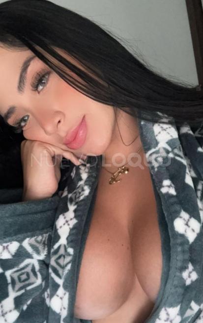 NuevoLoquo2
