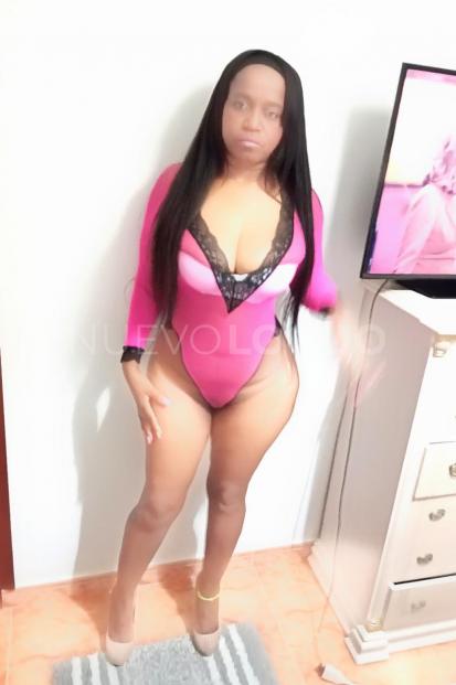 NuevoLoquo3