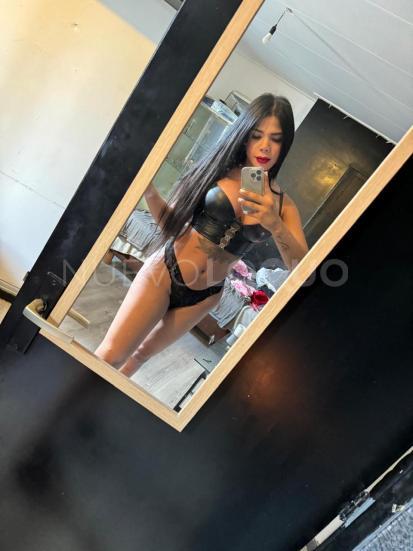 NuevoLoquo5
