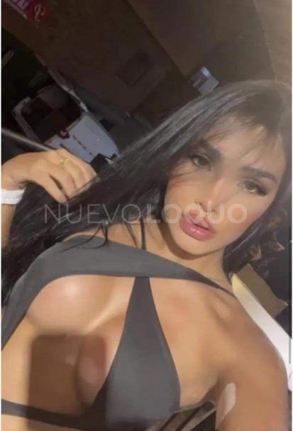 NuevoLoquo0