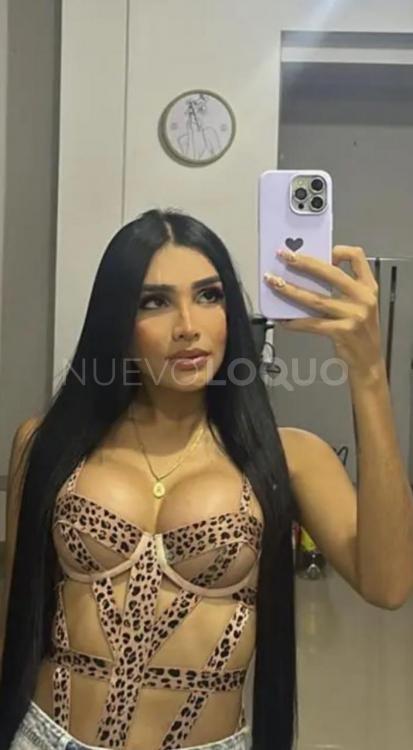 NuevoLoquo4
