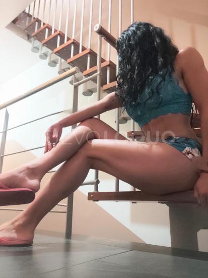 NuevoLoquo1