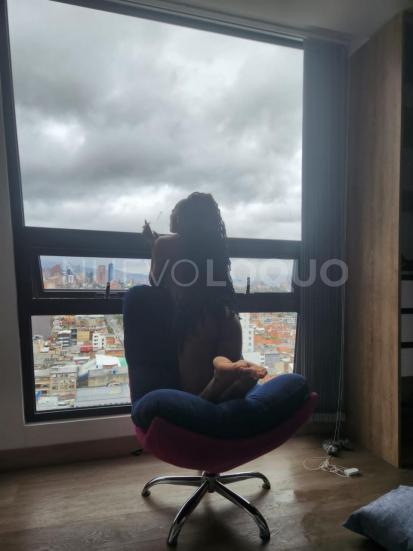 NuevoLoquo3