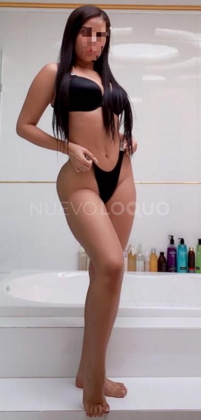 NuevoLoquo3