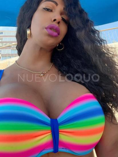 NuevoLoquo2
