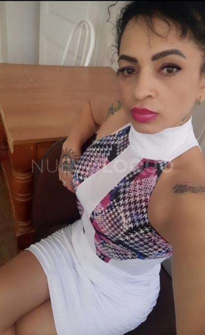 NuevoLoquo2