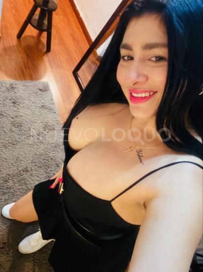 NuevoLoquo2