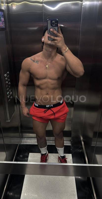 NuevoLoquo3