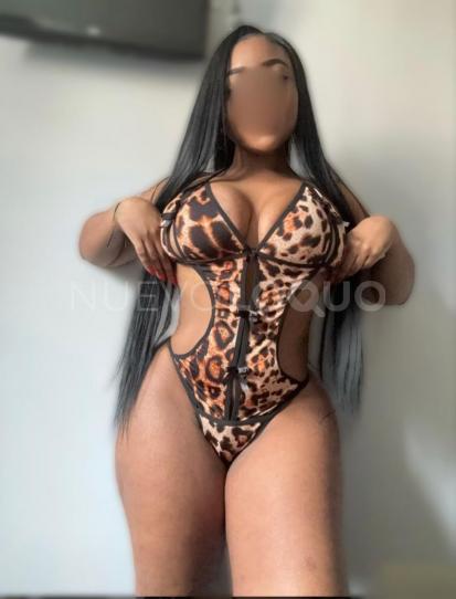 NuevoLoquo3