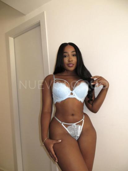 NuevoLoquo2