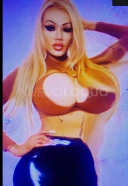 NuevoLoquo2
