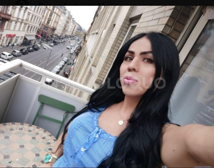 NuevoLoquo3