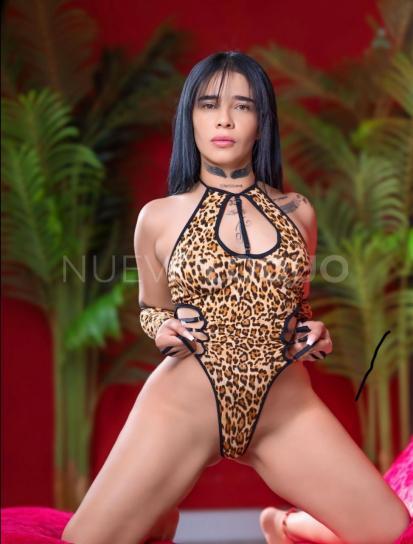 NuevoLoquo0