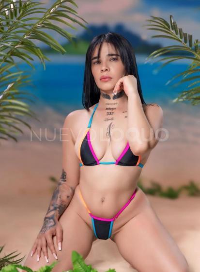NuevoLoquo2