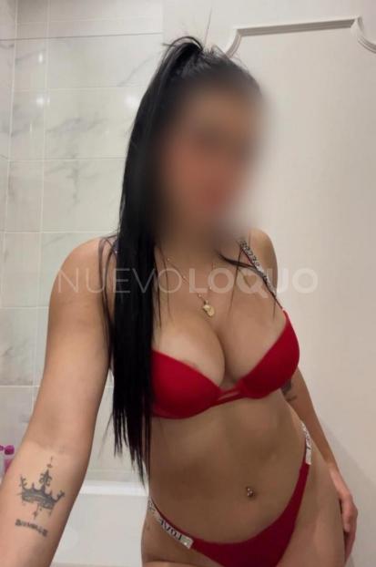 NuevoLoquo3