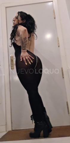 NuevoLoquo2
