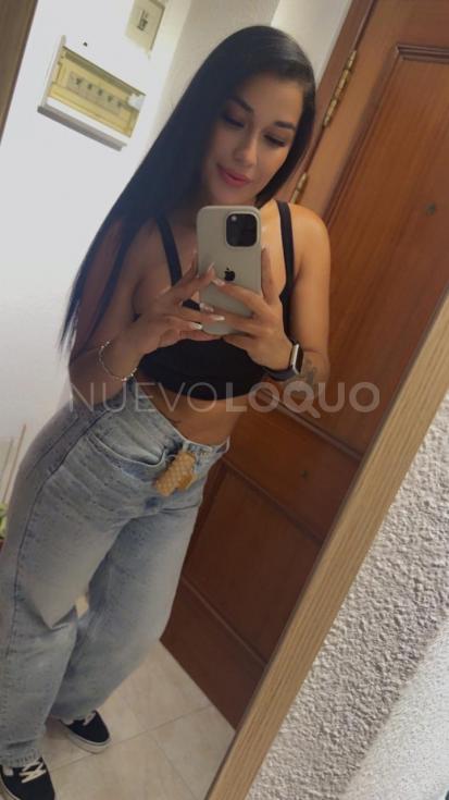 NuevoLoquo2