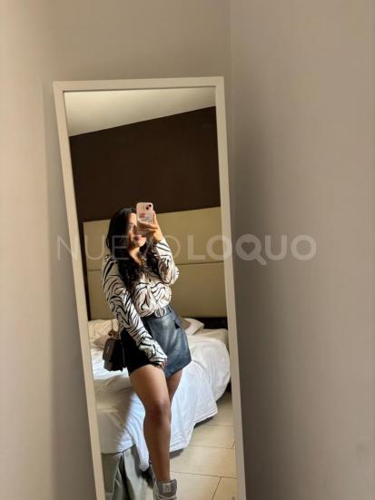 NuevoLoquo3