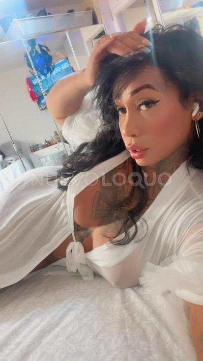  ELEGACIA ENCANTO Y Hermosa COMPAÑÍA