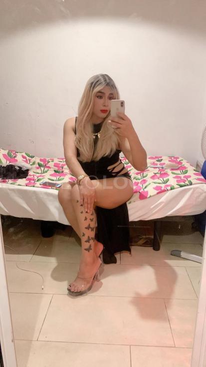 NuevoLoquo3
