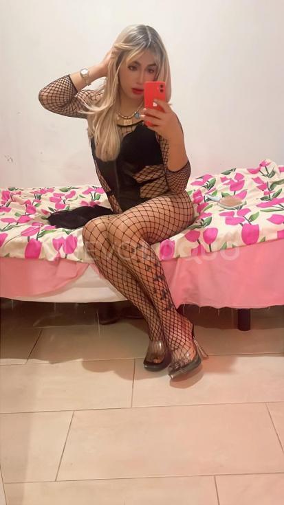 NuevoLoquo4