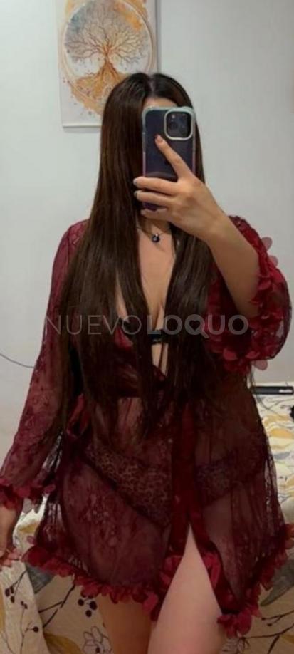 NuevoLoquo2
