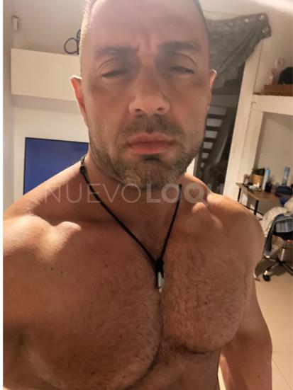 NuevoLoquo3