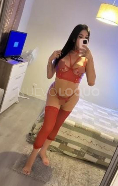 NuevoLoquo3