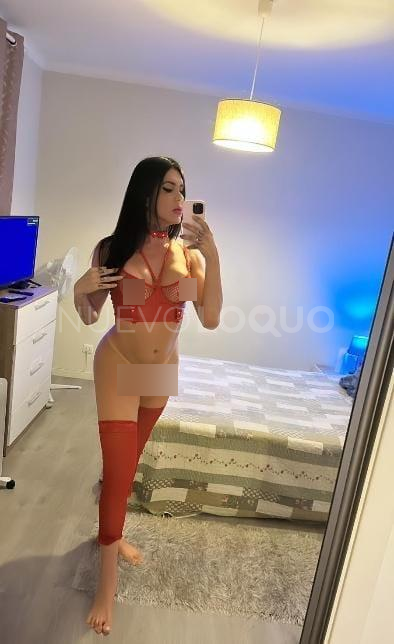 NuevoLoquo4