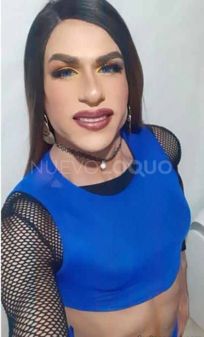 NuevoLoquo1